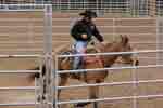 breaking round pen 03