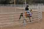 breaking round pen 04