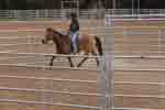 breaking round pen 05