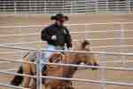 breaking round pen 07