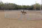 breaking round pen 09