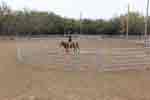 breaking round pen 10