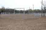 bronc round pen 01