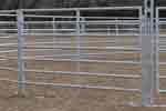 bronc round pen 02