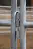 bronc round pen 05