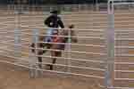 bronc round pen 09