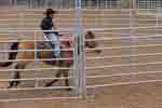 bronc round pen 10