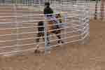 bronc round pen 12