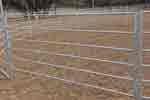 excersice round pen 02