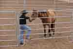 lunging round pen 07
