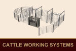 Cattle Working Systems
