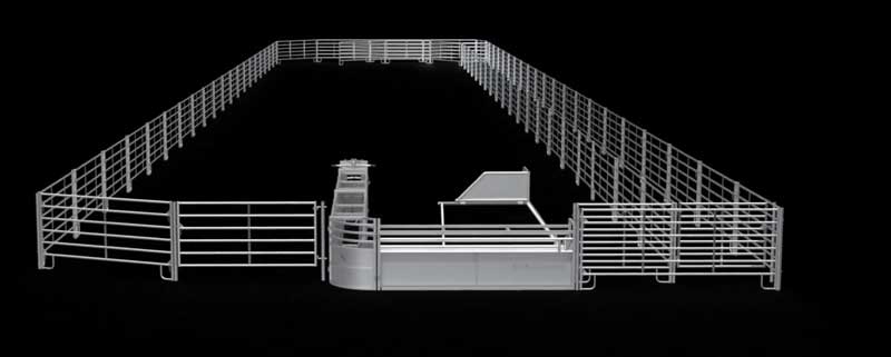 Calf roping arena and calf lane layout
